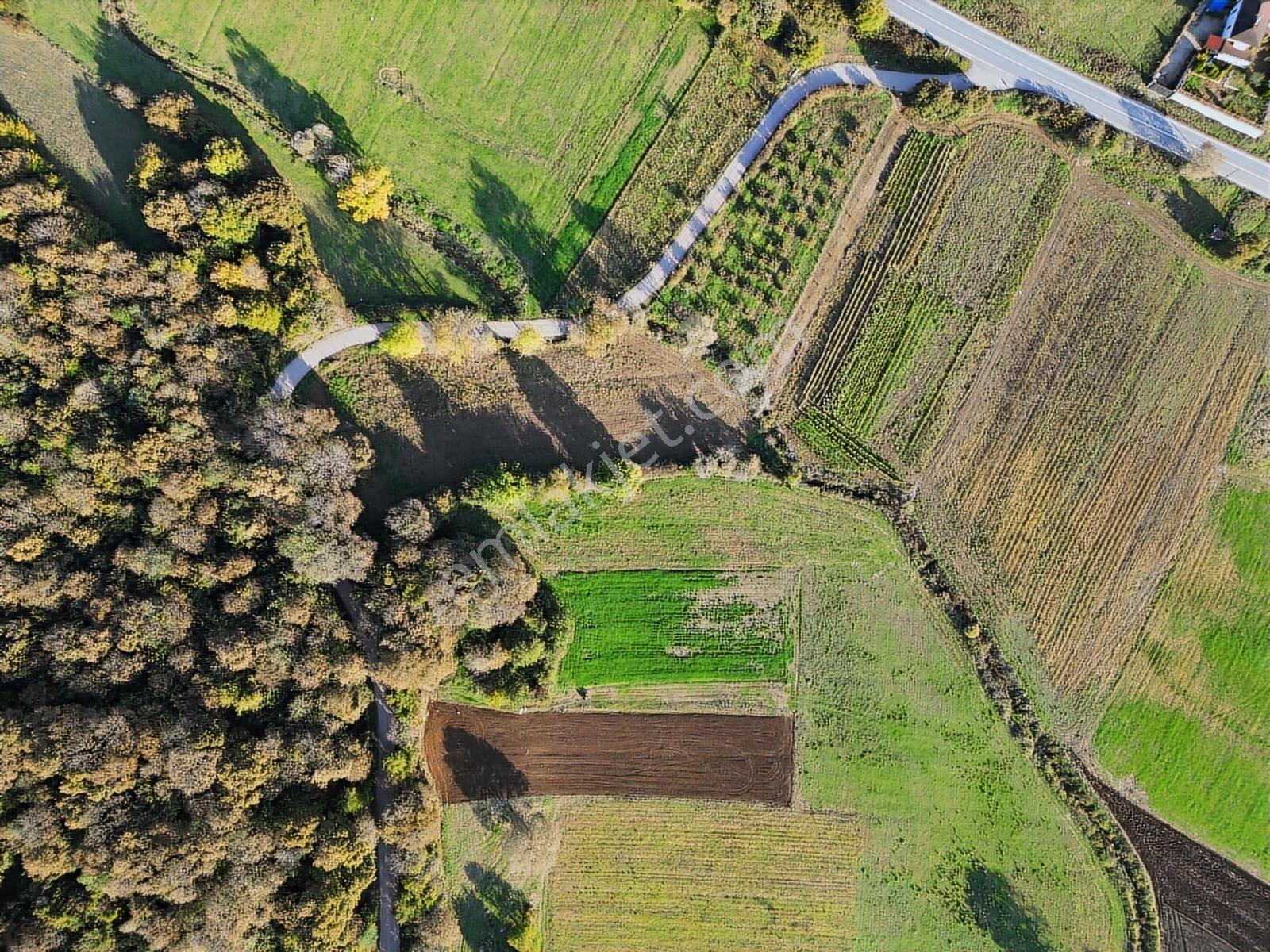 Kocaeli Kandıra Bufa Çifliği Komşu 916m2 Kefken 7dk Satılık Arsa