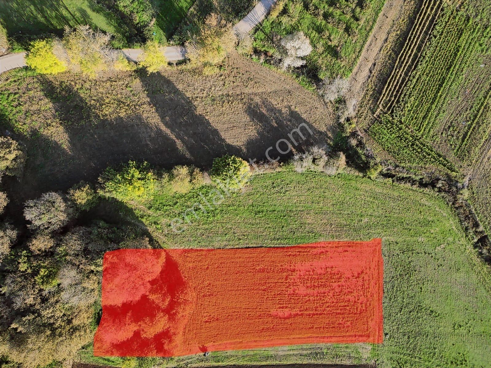 Kocaeli Kandıra Bufa Çifliği Komşu 916m2 Kefken 7dk Satılık Arsa - Görsel 13