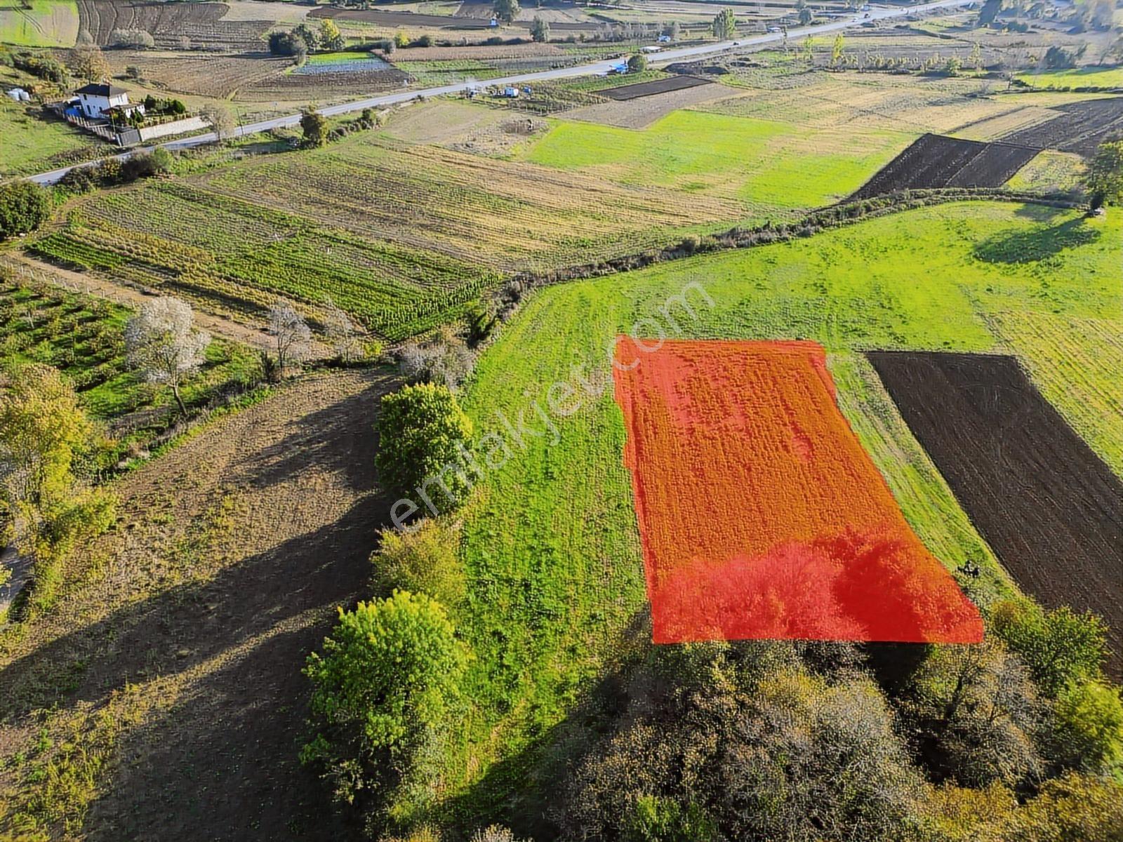 Kocaeli Kandıra Bufa Çifliği Komşu 916m2 Kefken 7dk Satılık Arsa - Görsel 4