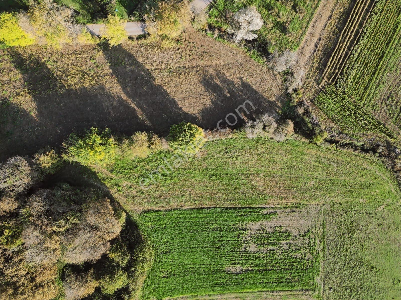 Kocaeli Kandıra Bufa Çifliği Komşu 916m2 Kefken 7dk Satılık Arsa - Görsel 15