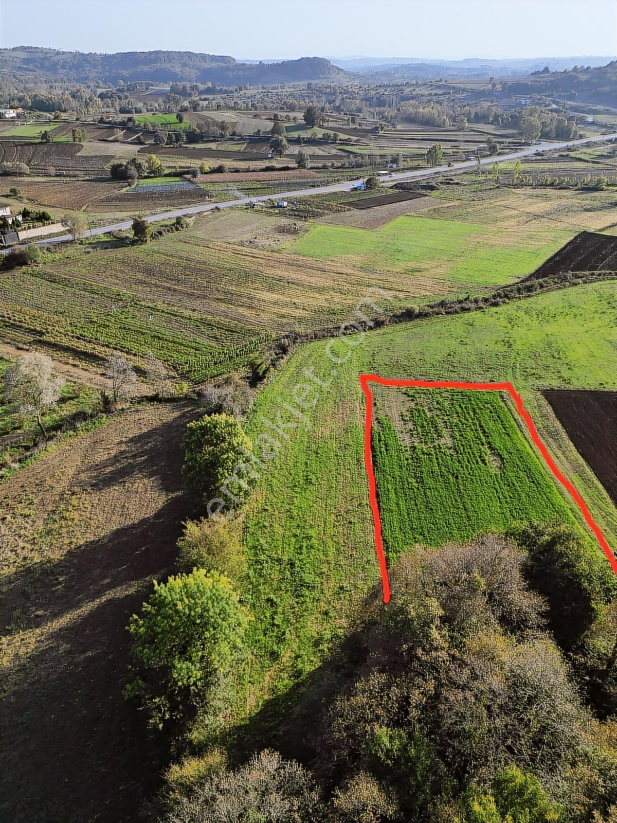 Kocaeli Kandıra Bufa Çifliği Komşu 916m2 Kefken 7dk Satılık Arsa - Görsel 6