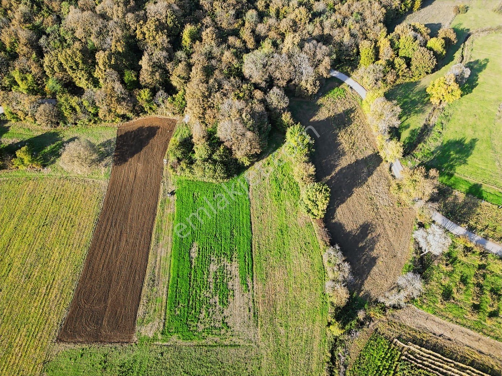 Kocaeli Kandıra Bufa Çifliği Komşu 916m2 Kefken 7dk Satılık Arsa - Görsel 3