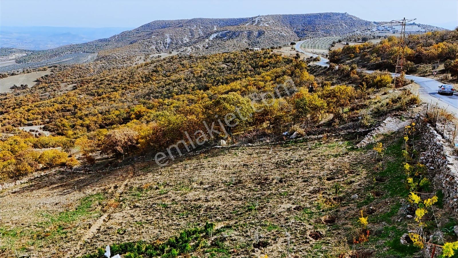 Köprübaşı'da Satılık Asfalt Üstü 4494 M2 Hobi Bahçeli Köy Evi - Görsel 16