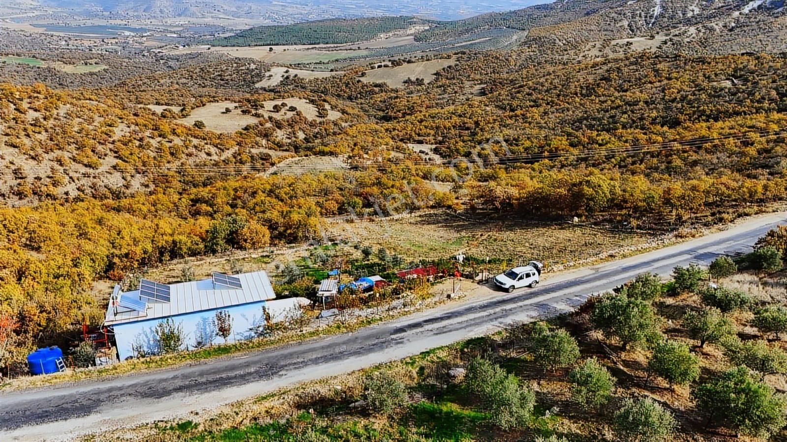 Köprübaşı'da Satılık Asfalt Üstü 4494 M2 Hobi Bahçeli Köy Evi - Görsel 13