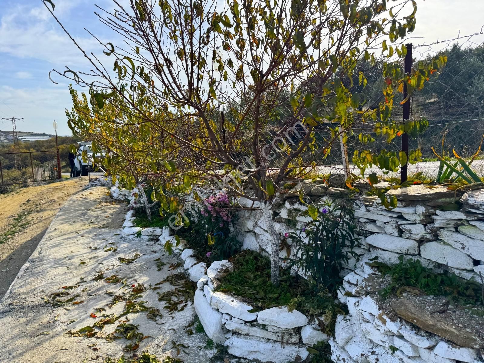 Köprübaşı'da Satılık Asfalt Üstü 4494 M2 Hobi Bahçeli Köy Evi - Görsel 34