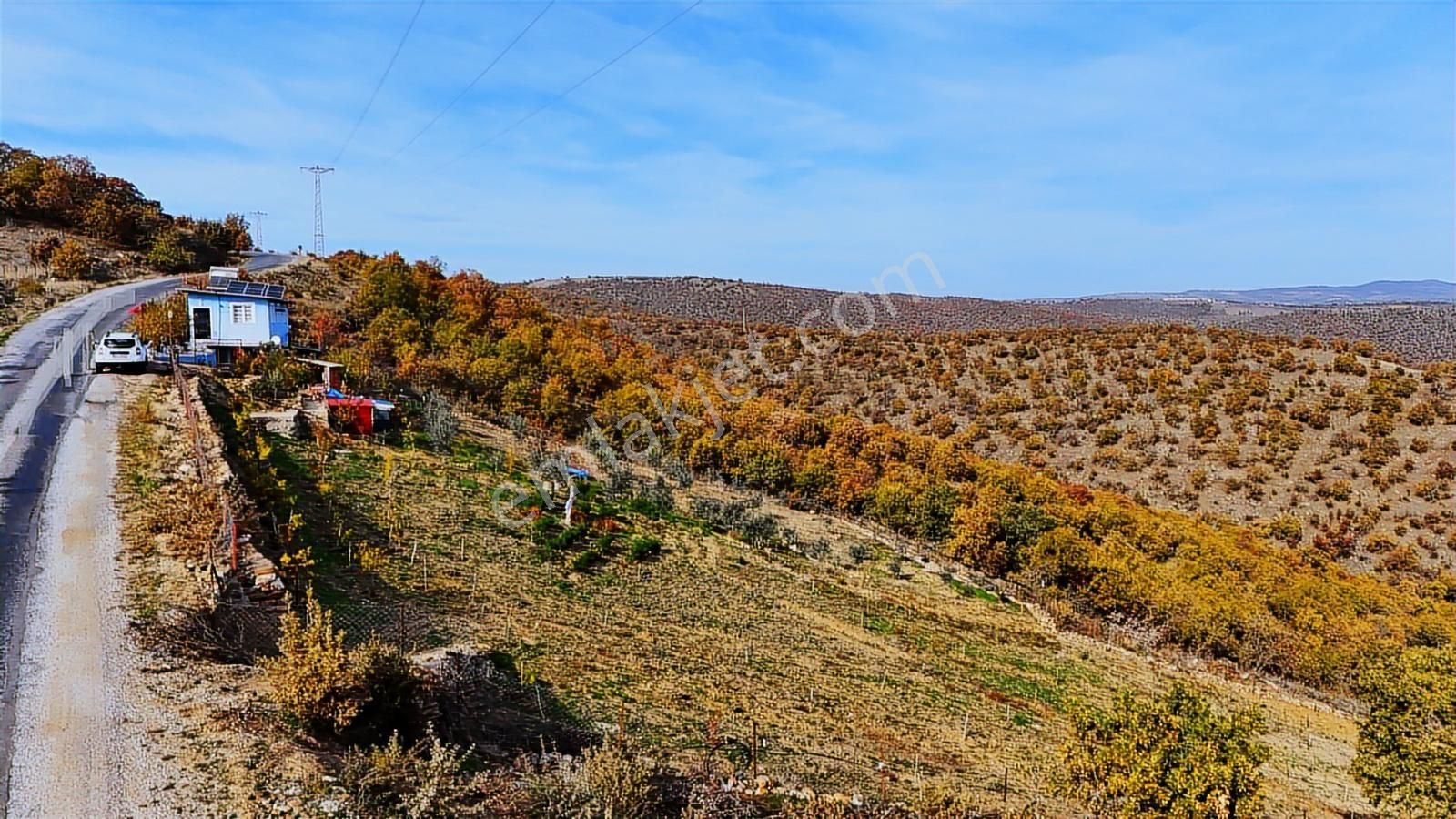 Köprübaşı'da Satılık Asfalt Üstü 4494 M2 Hobi Bahçeli Köy Evi - Görsel 8