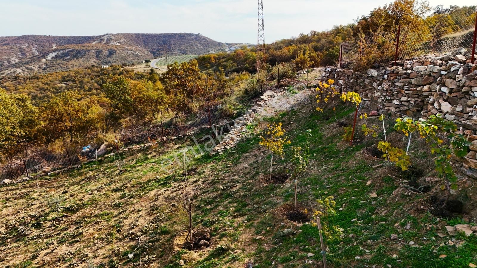 Köprübaşı'da Satılık Asfalt Üstü 4494 M2 Hobi Bahçeli Köy Evi - Görsel 33