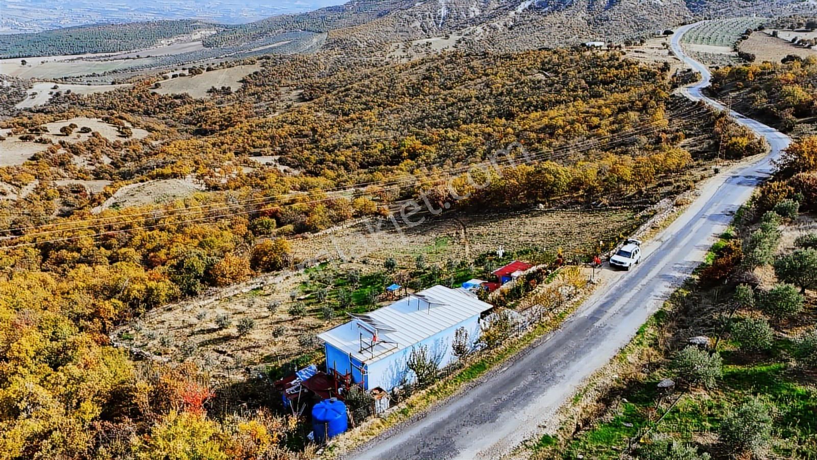 Köprübaşı'da Satılık Asfalt Üstü 4494 M2 Hobi Bahçeli Köy Evi - Görsel 9