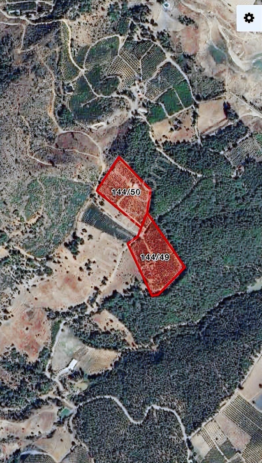 Fırsat Satılık Şeftali Bahçesi | Mersin Toroslar Evcili - Görsel 9