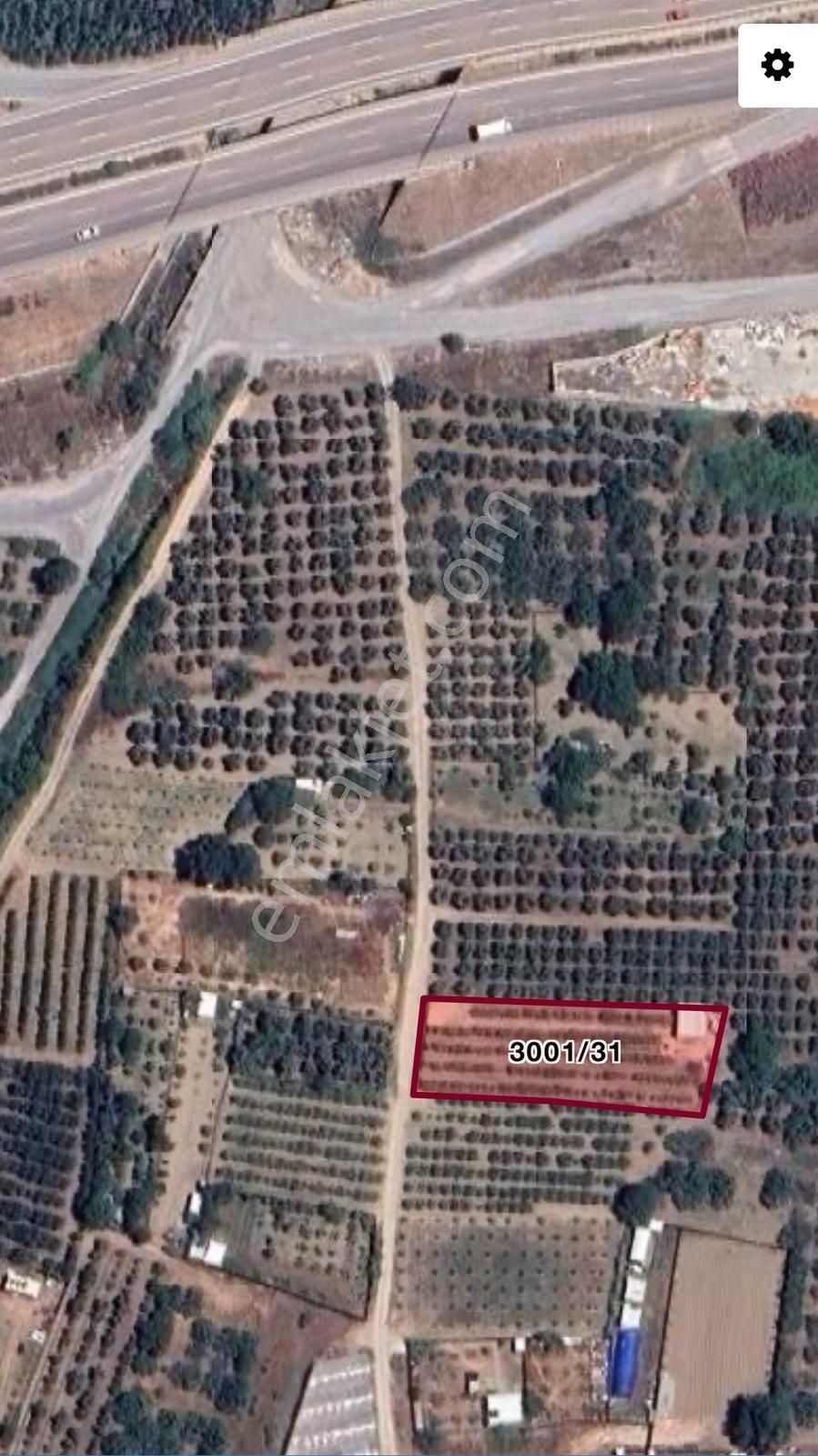 Gürsu Kazıklı Köyünde Satılık Verimli Armut Bahçesi - Görsel 4