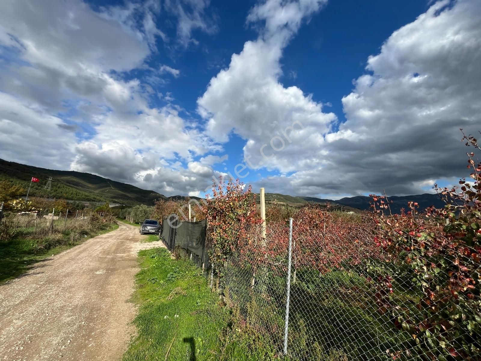 Gürsu Kazıklı Köyünde Satılık Verimli Armut Bahçesi - Görsel 6