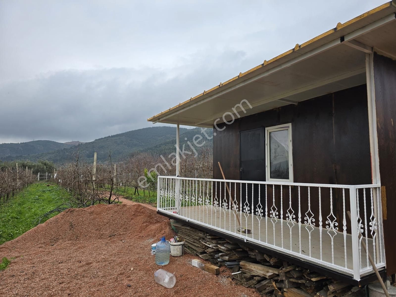 Gürsu Kazıklı Köyünde Satılık Verimli Armut Bahçesi - Görsel 9