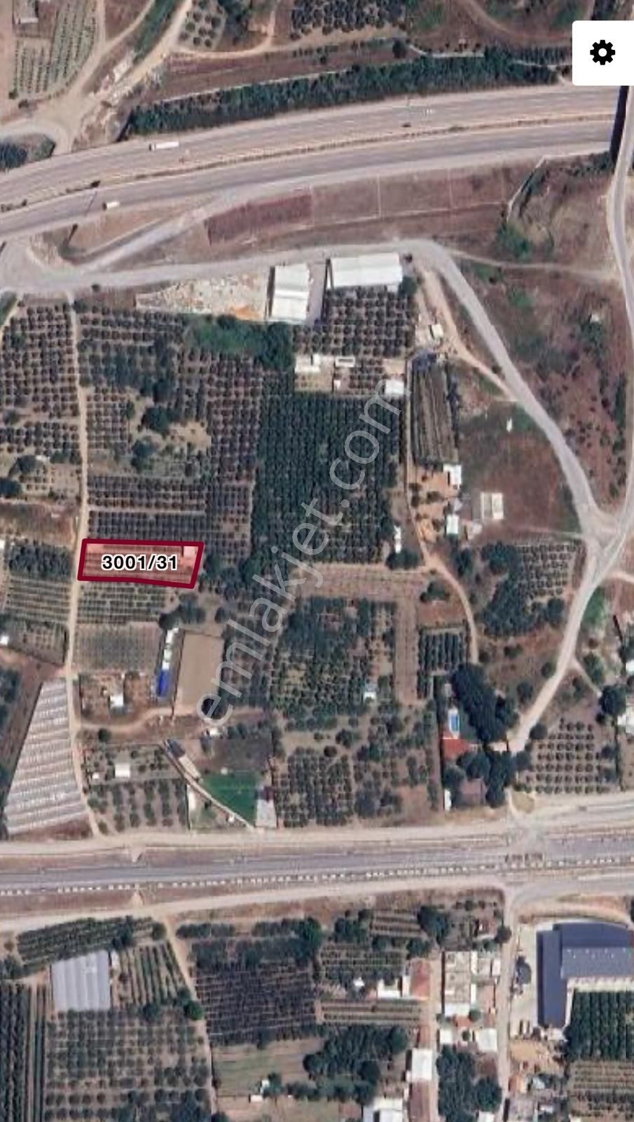 Gürsu Kazıklı Köyünde Satılık Verimli Armut Bahçesi - Görsel 5