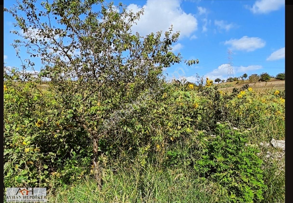 Ayhan Hepdiker Den Salmanlıda Asvalt Yola Cepheli 1.377m2 Tarla - Görsel 11