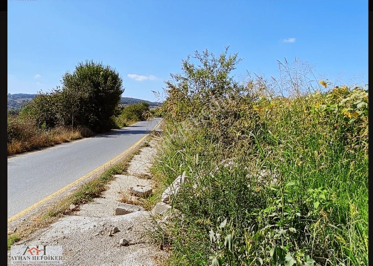 Ayhan Hepdiker Den Salmanlıda Asvalt Yola Cepheli 1.377m2 Tarla - Görsel 8