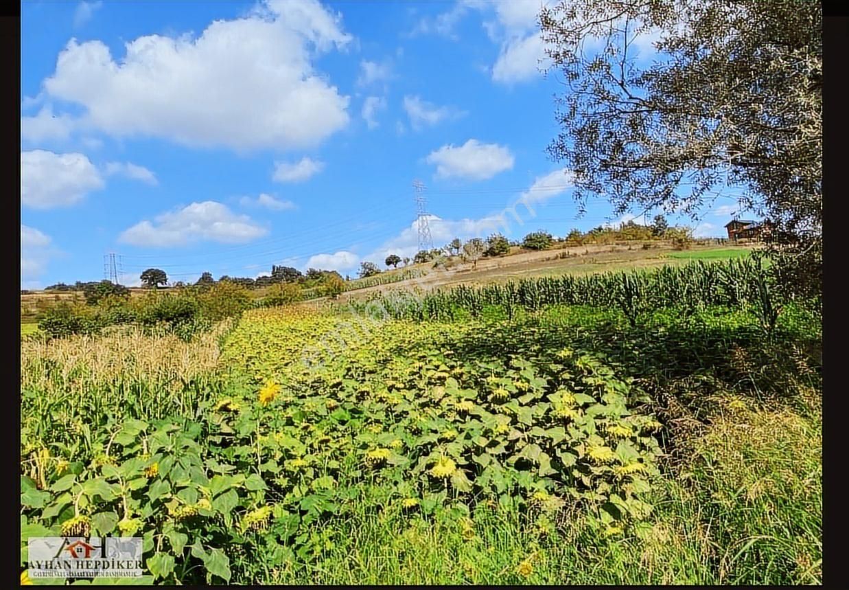 Ayhan Hepdiker Den Salmanlıda Asvalt Yola Cepheli 1.377m2 Tarla - Görsel 7