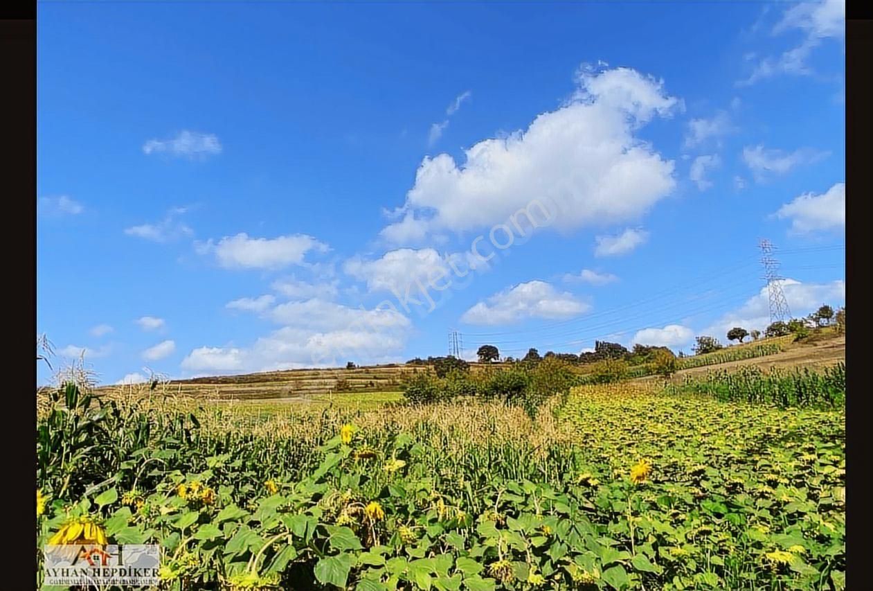 Ayhan Hepdiker Den Salmanlıda Asvalt Yola Cepheli 1.377m2 Tarla - Görsel 12