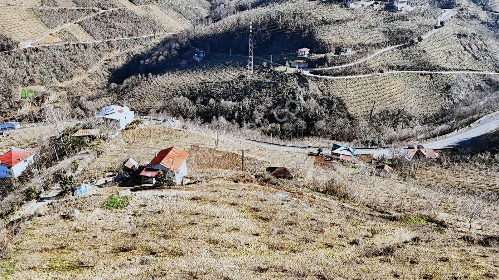 Vıp Gayrimenkuldan Doğançay Mahallesinde Satılık 3.808m2 Arsa - Görsel 7