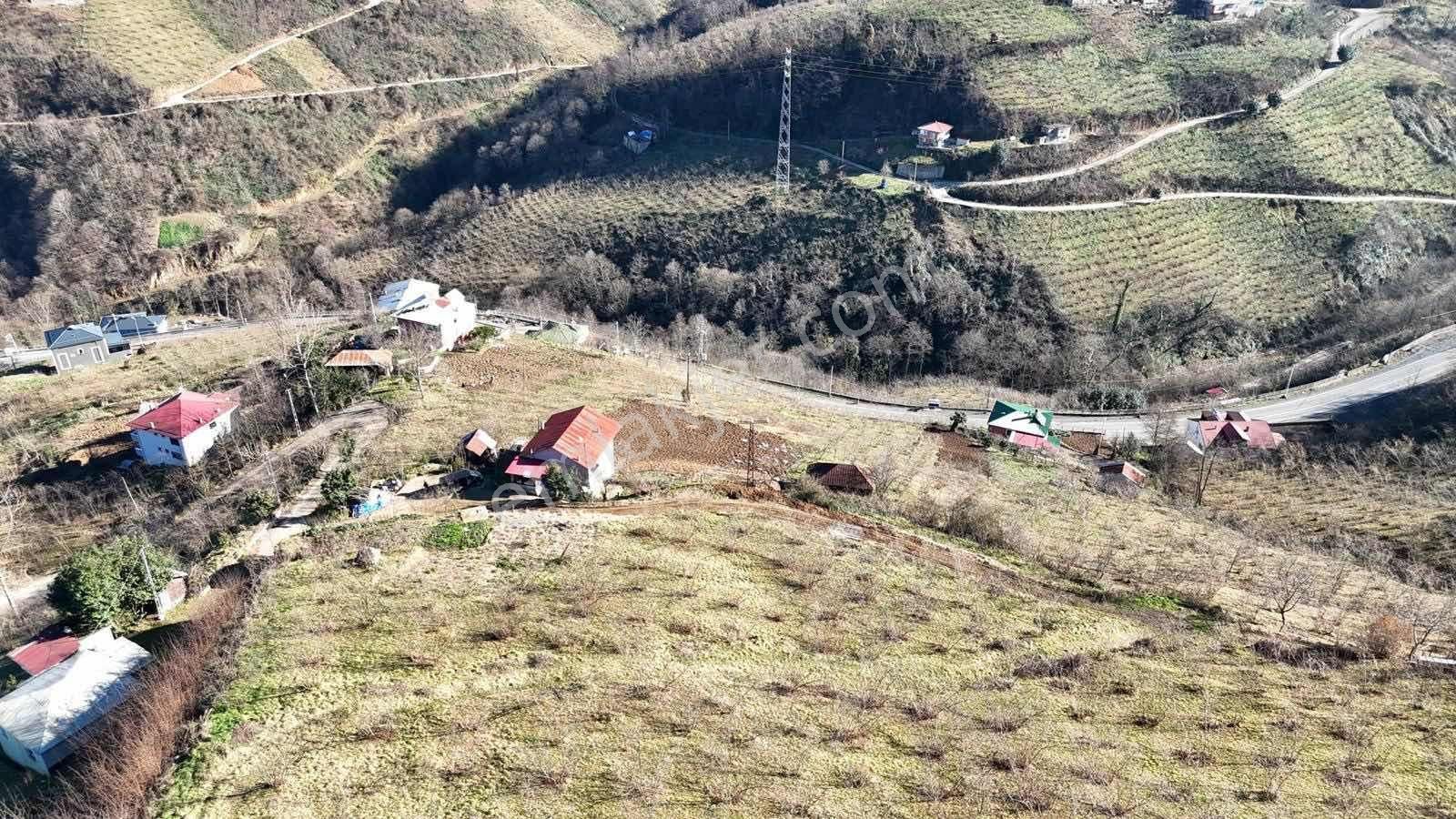 Vıp Gayrimenkuldan Doğançay Mahallesinde Satılık 3.808m2 Arsa - Görsel 13