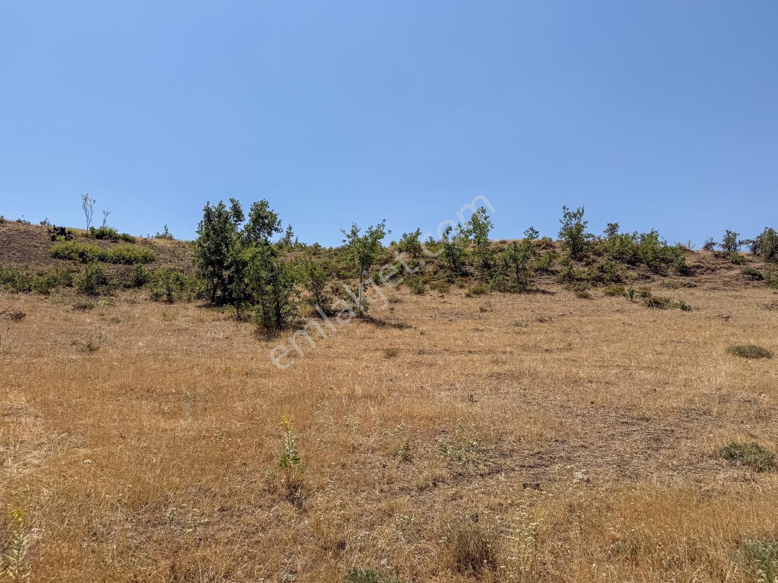 Biarsadan Keban Barajı Manzaralı Köyiçi 3.732 M² İmarlı Parsel - Görsel 19