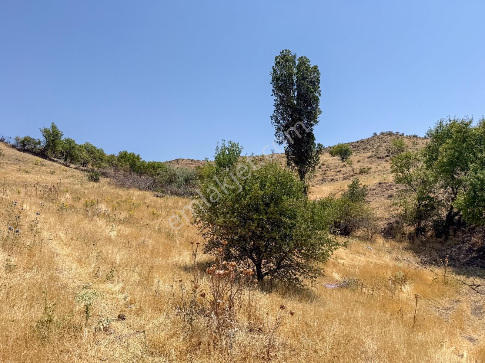 Biarsadan Keban Barajı Manzaralı Köyiçi 3.732 M² İmarlı Parsel - Görsel 10
