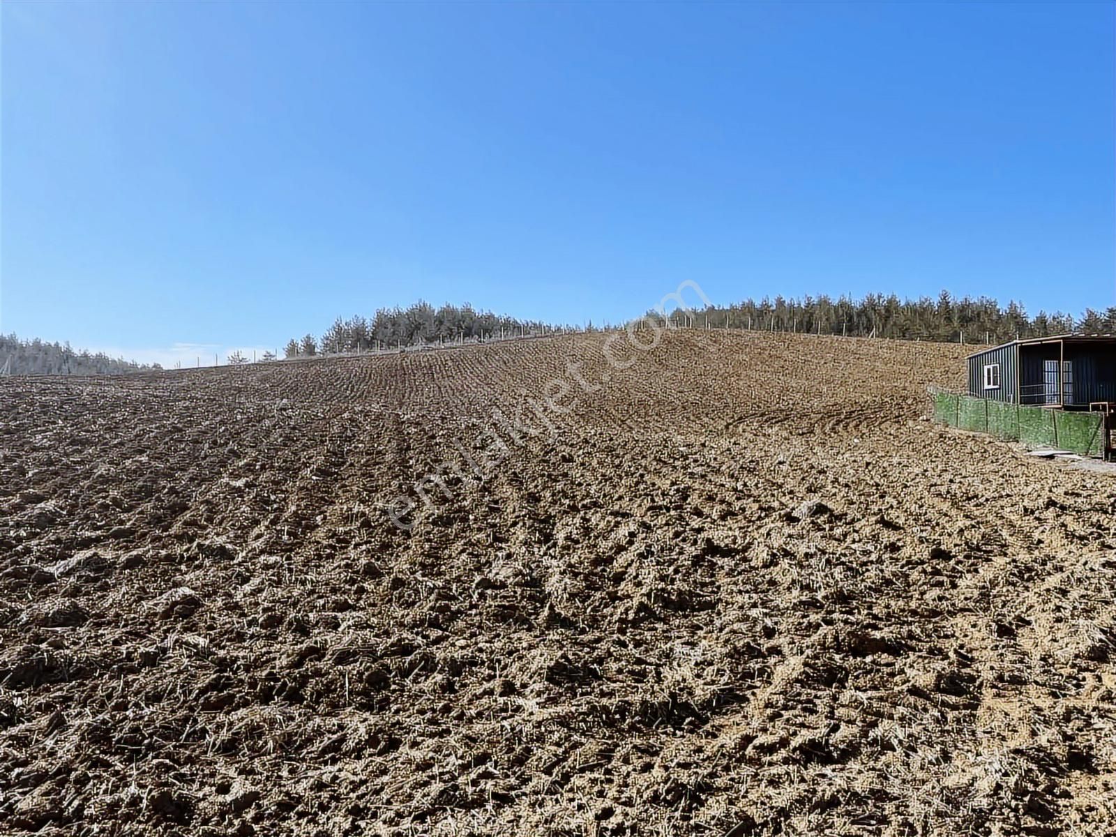 Sarıçam Stadyum Civarı Bulvar Üzeri Villa İmarlı Satılık Arsa - Görsel 11
