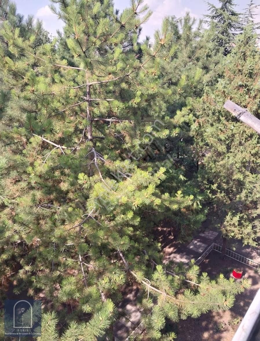 Kiralık..örnek Mah. Faik Suat Cad. Ara Kat 2+1 - Görsel 12