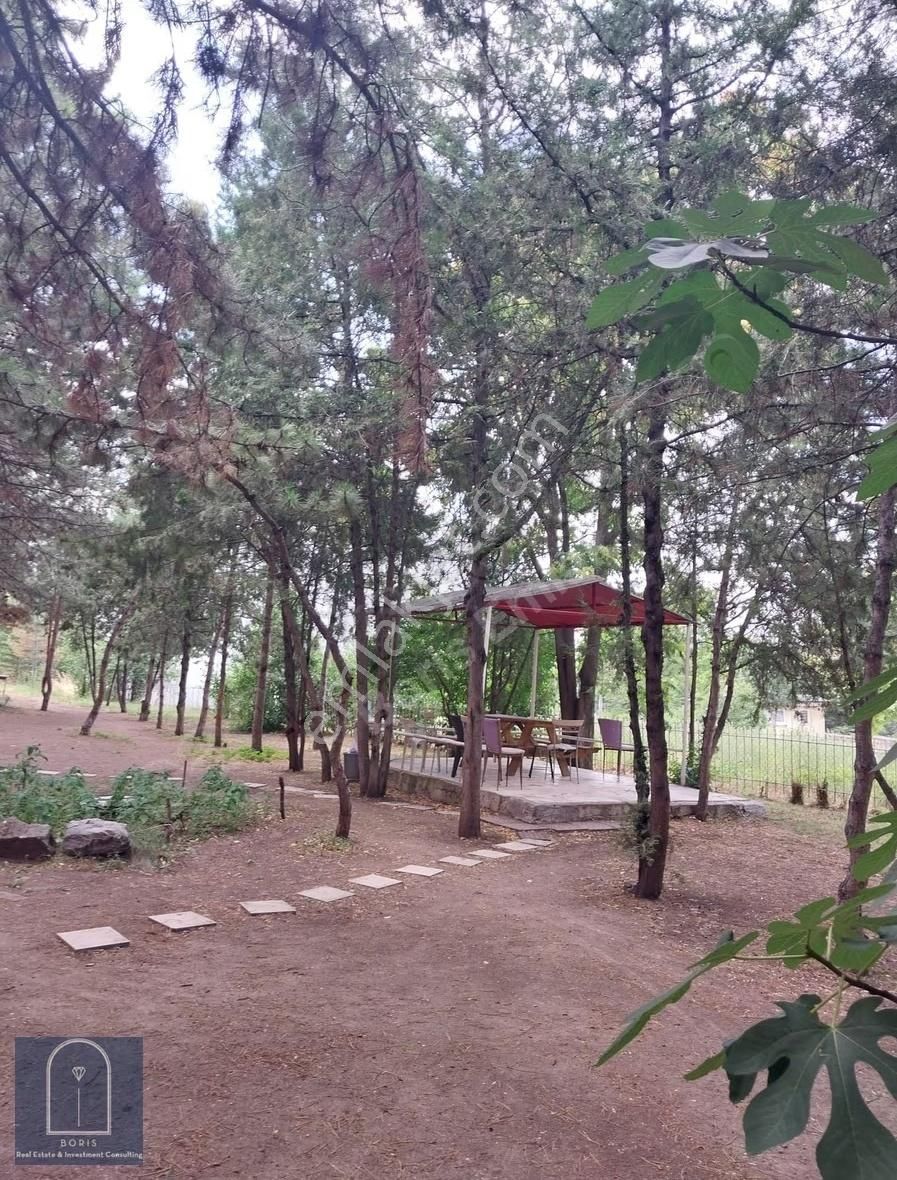 Kiralık..örnek Mah. Faik Suat Cad. Ara Kat 2+1 - Görsel 4