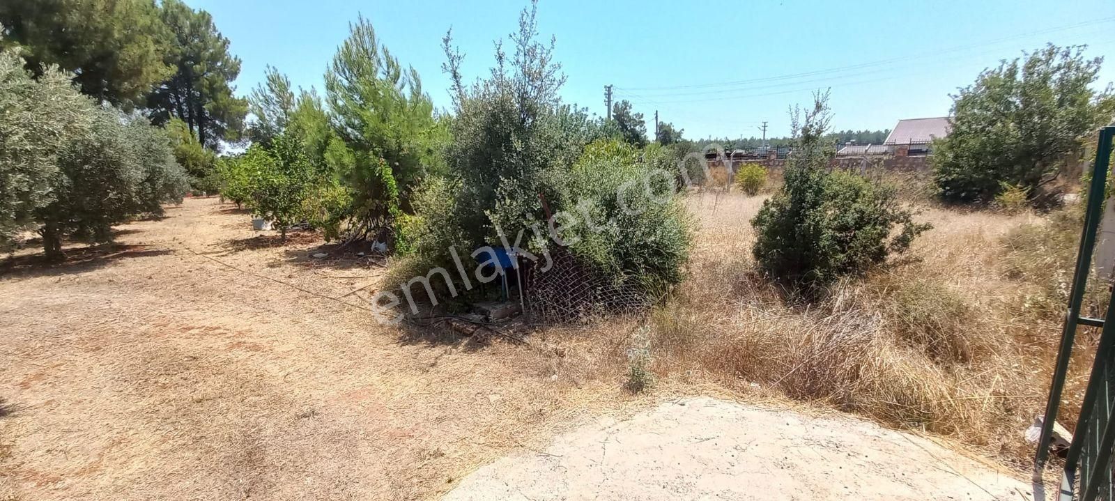 Satılık Duacı,da Na Tamam 650m2 Duvarları Örulmüş - Görsel 15