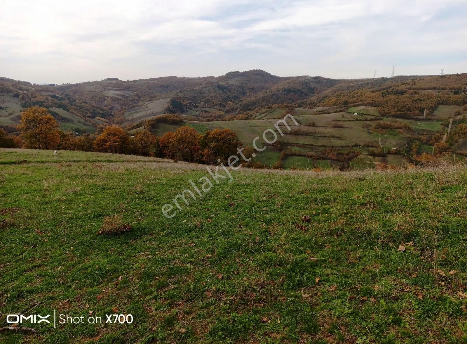 Bursa,iznik Mecidiye Mah.satıtılık Tarla - Görsel 10