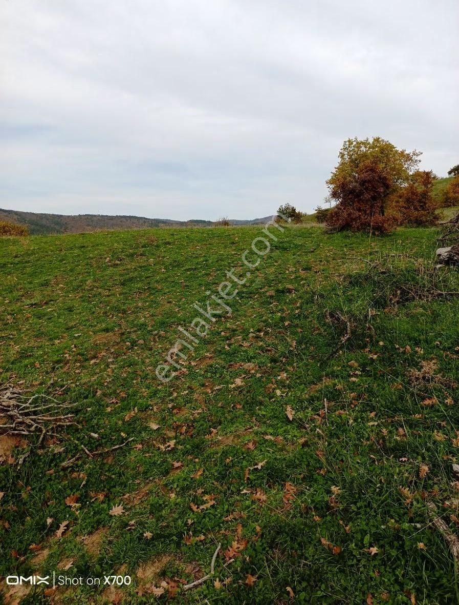 Bursa,iznik Mecidiye Mah.satıtılık Tarla - Görsel 12