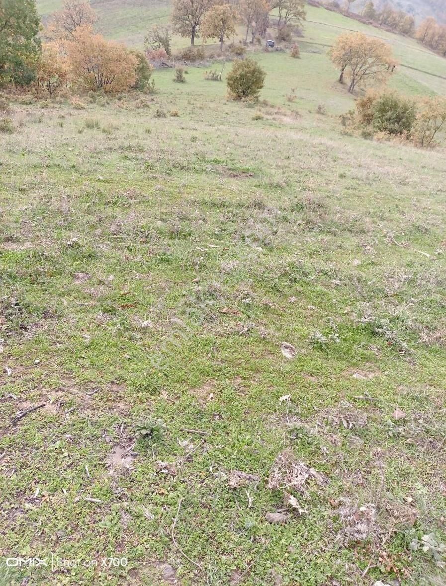 Bursa,iznik Mecidiye Mah.satıtılık Tarla - Görsel 11