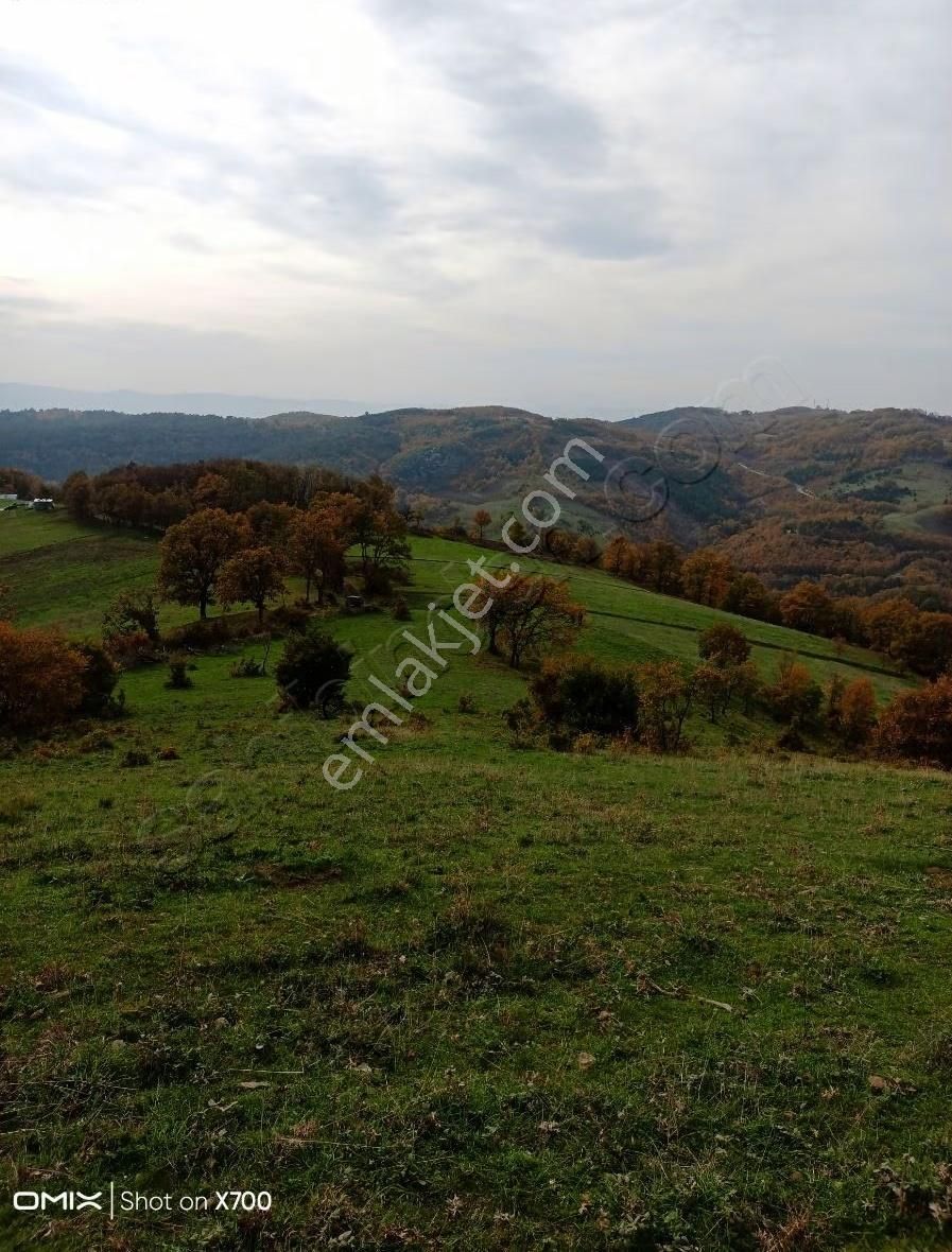 Bursa,iznik Mecidiye Mah.satıtılık Tarla - Görsel 15