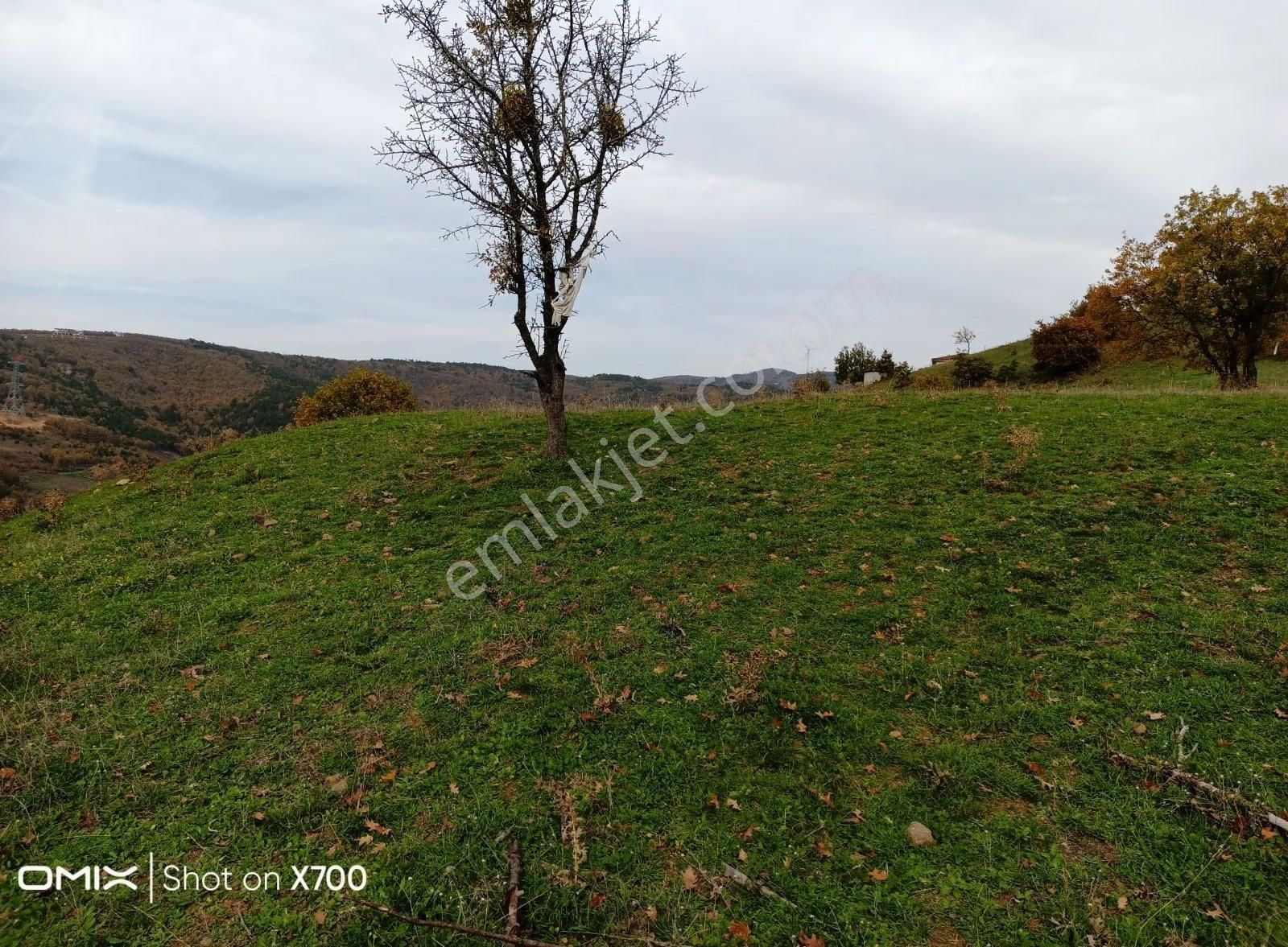 Bursa,iznik Mecidiye Mah.satıtılık Tarla