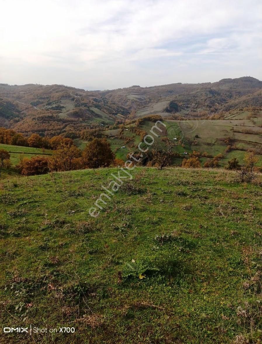 Bursa,iznik Mecidiye Mah.satıtılık Tarla - Görsel 22