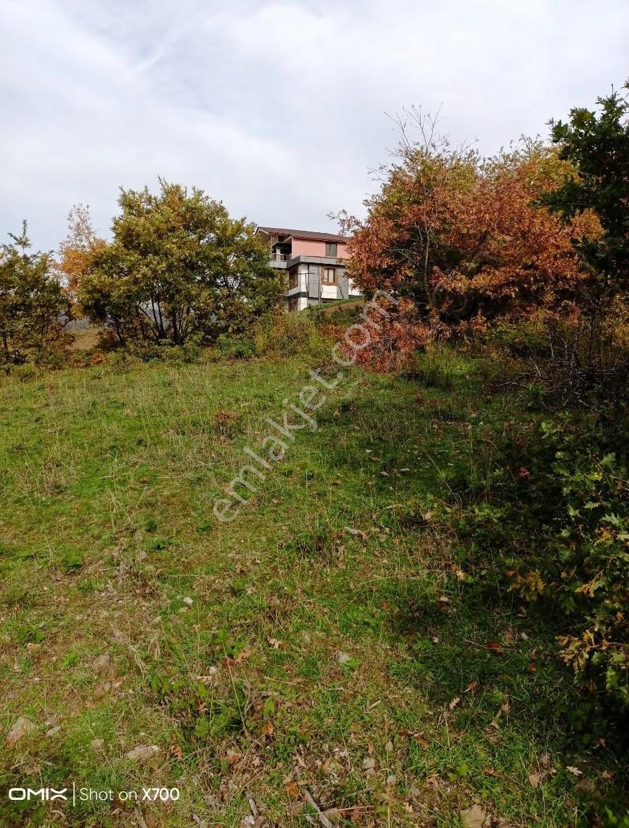 Bursa,iznik Mecidiye Mah.satıtılık Tarla - Görsel 3