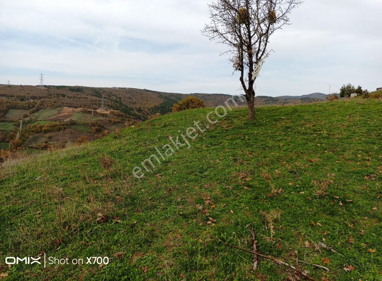 Bursa,iznik Mecidiye Mah.satıtılık Tarla - Görsel 14