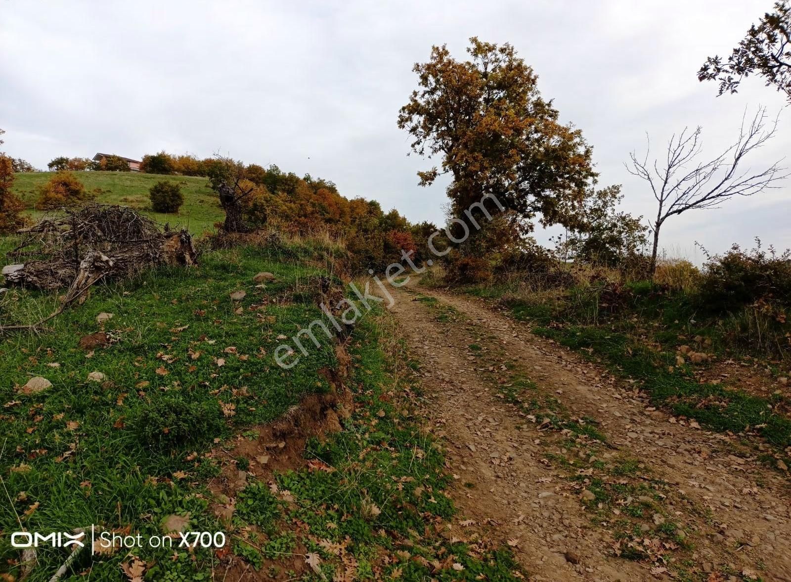 Bursa,iznik Mecidiye Mah.satıtılık Tarla - Görsel 21