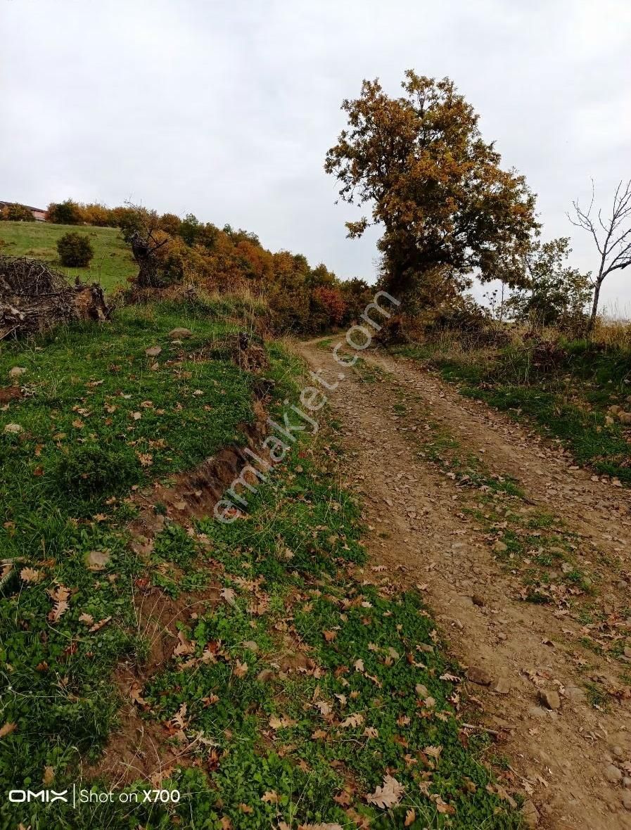 Bursa,iznik Mecidiye Mah.satıtılık Tarla - Görsel 7