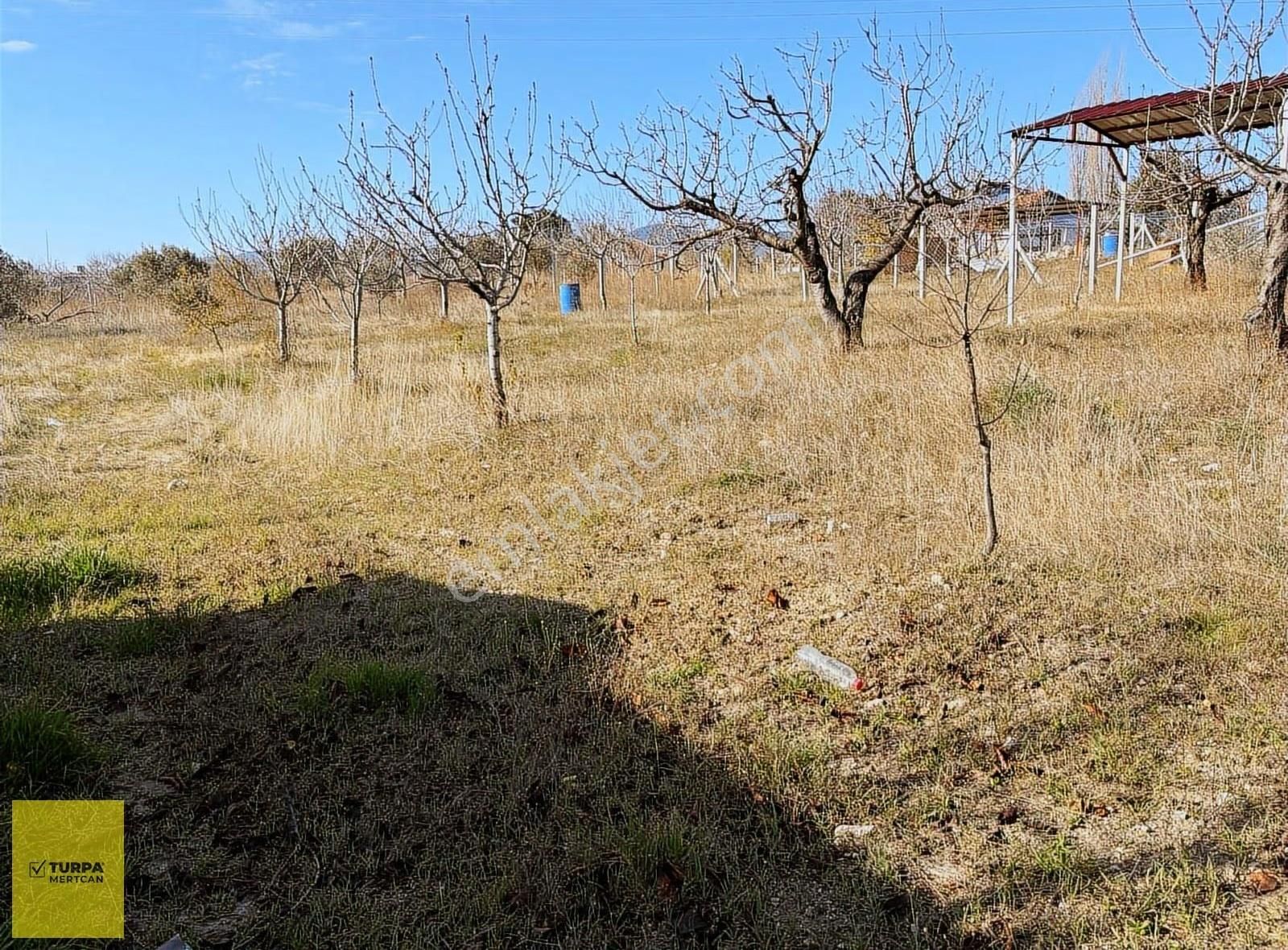 Bornova Yakaköy Özbek Mah.1000 M2 Satılık Bahçe - Görsel 6