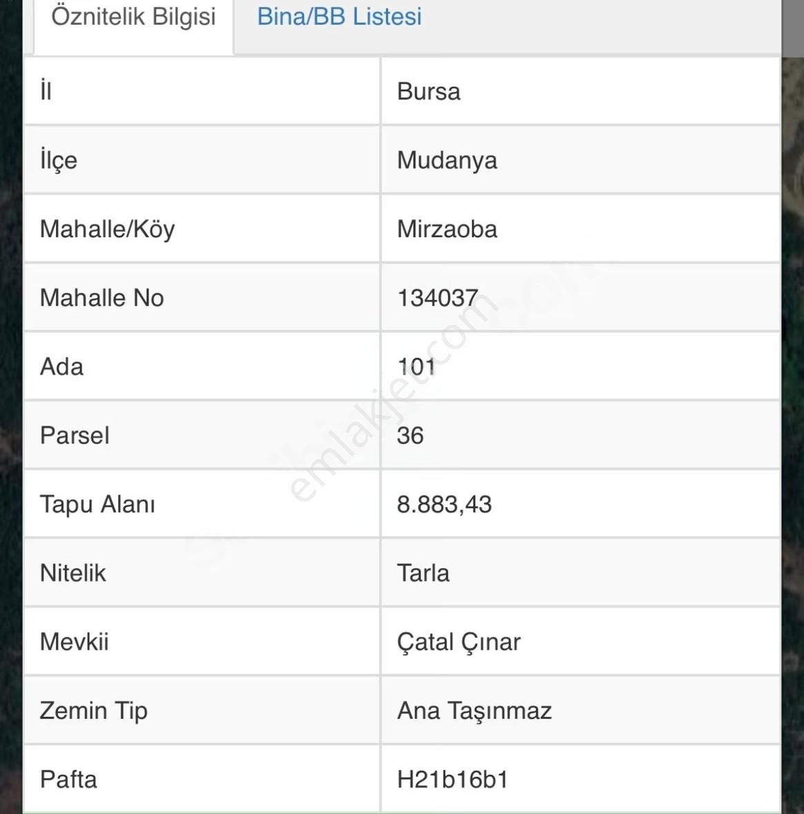 Mudanya Mirzaoba Köyünde Kadastro Yoluna 1 Parsel Satılık Arazi