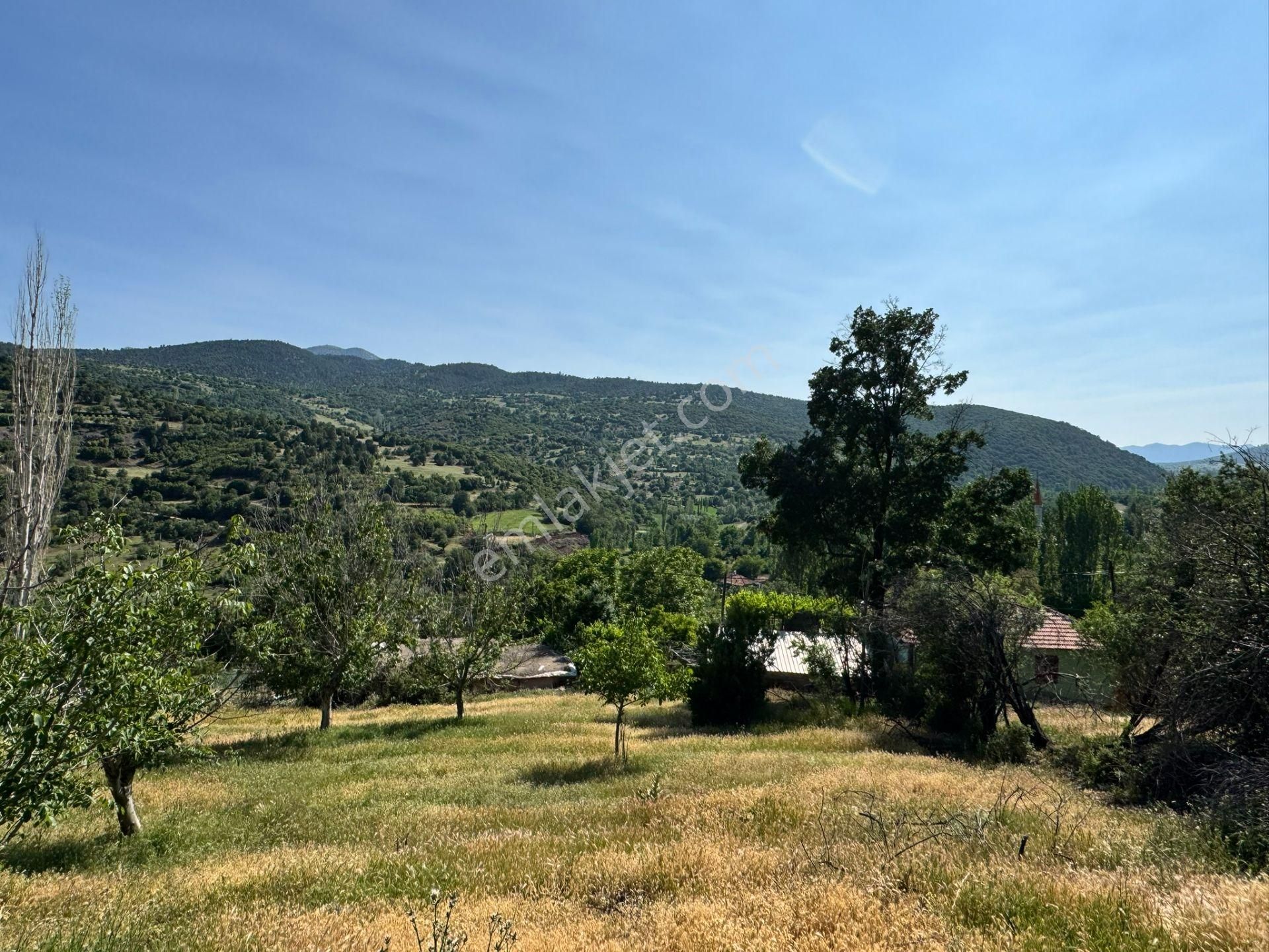 Burdur Merkez Kavacık Doğa İçinde Müstakil Tapulu İmarlı Bahçe - Görsel 11