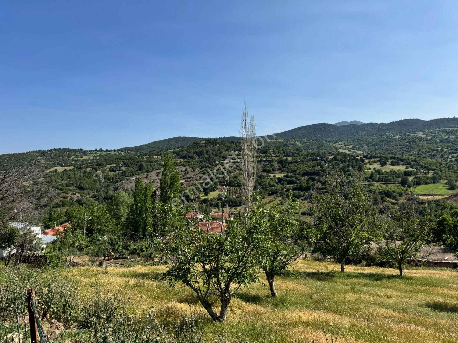 Burdur Merkez Kavacık Doğa İçinde Müstakil Tapulu İmarlı Bahçe - Görsel 16