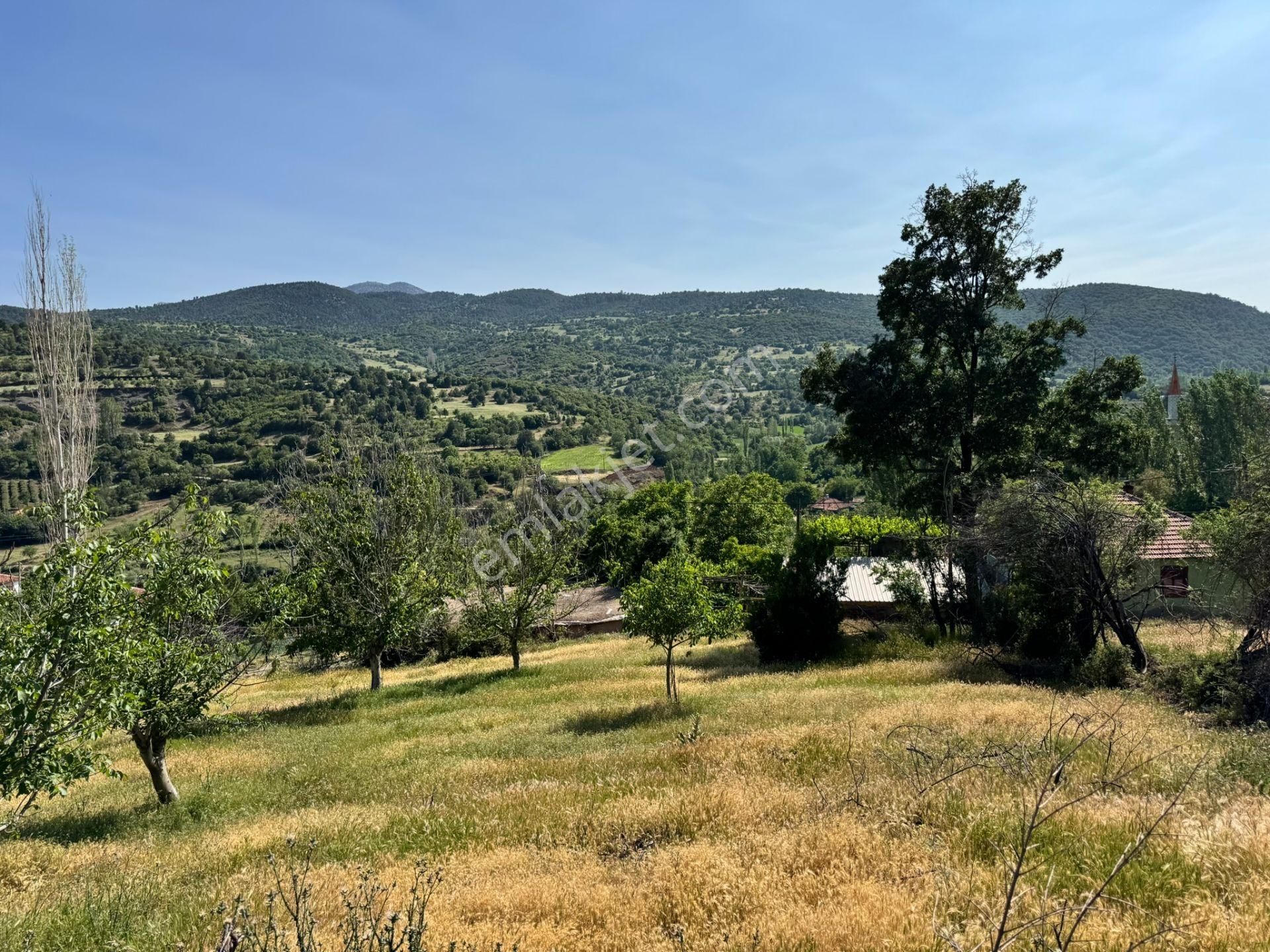 Burdur Merkez Kavacık Doğa İçinde Müstakil Tapulu İmarlı Bahçe - Görsel 15