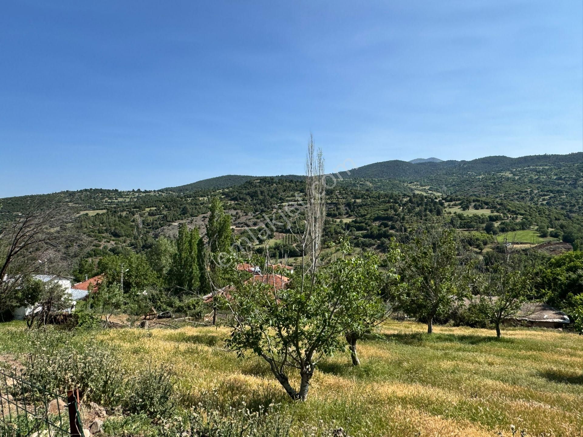 Burdur Merkez Kavacık Doğa İçinde Müstakil Tapulu İmarlı Bahçe - Görsel 10