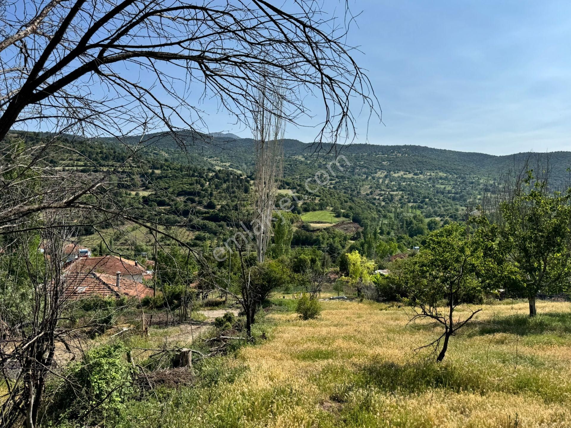 Burdur Merkez Kavacık Doğa İçinde Müstakil Tapulu İmarlı Bahçe - Görsel 13