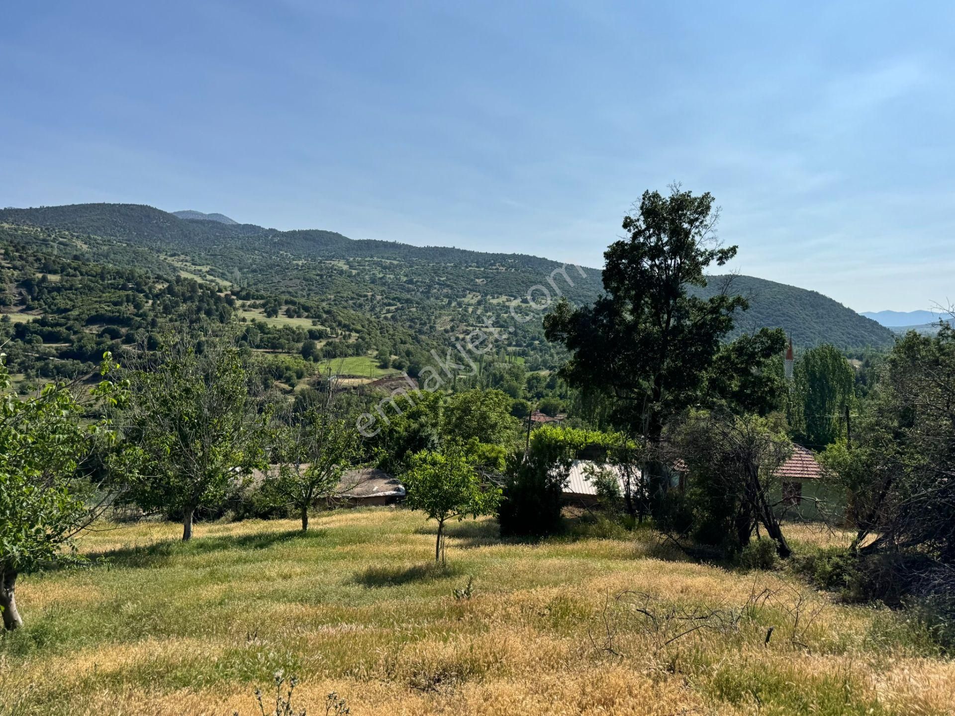 Burdur Merkez Kavacık Doğa İçinde Müstakil Tapulu İmarlı Bahçe - Görsel 12