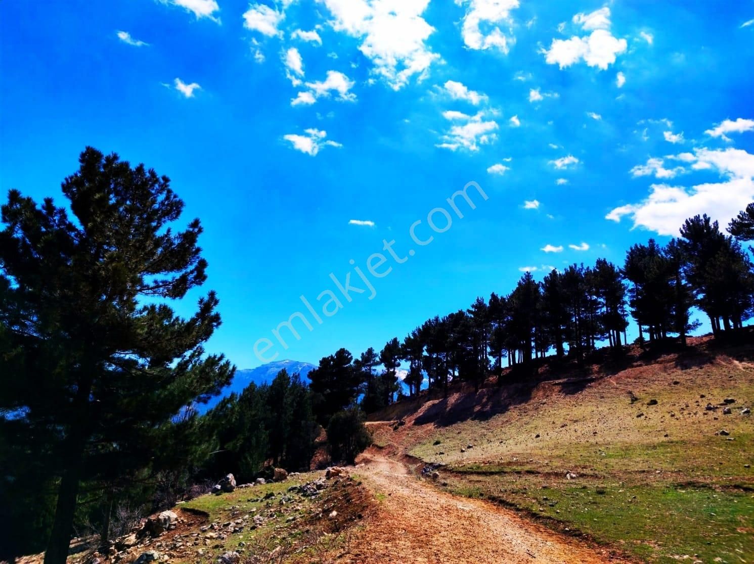 Kar Emlaktan Yenikonacık Bozkırlı Mevkiinde 400 M2 Satılık Arsa - Görsel 20