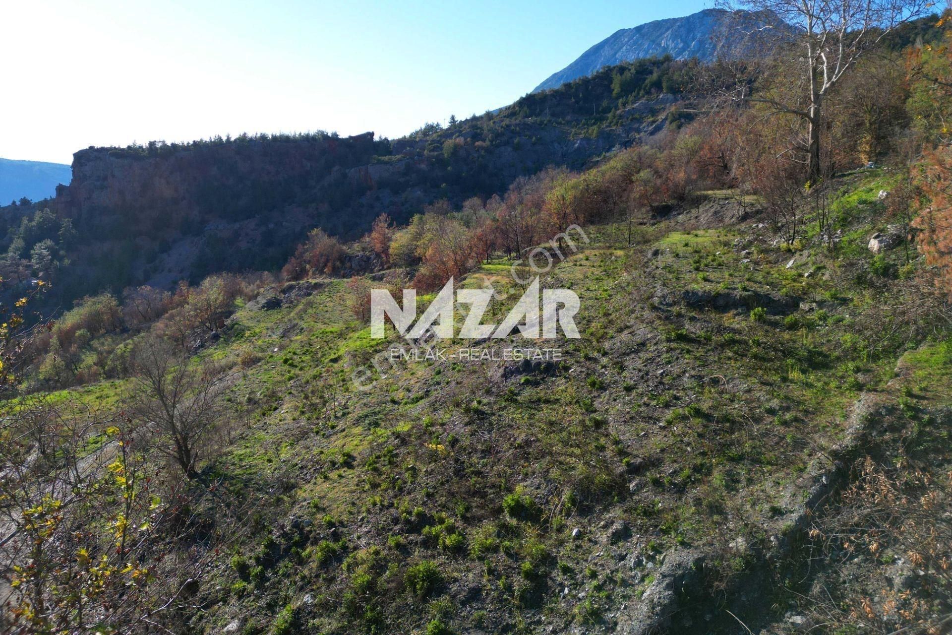 Alanya Yaylakonak’ta 3.682 M² Satılık Tarla - Görsel 15