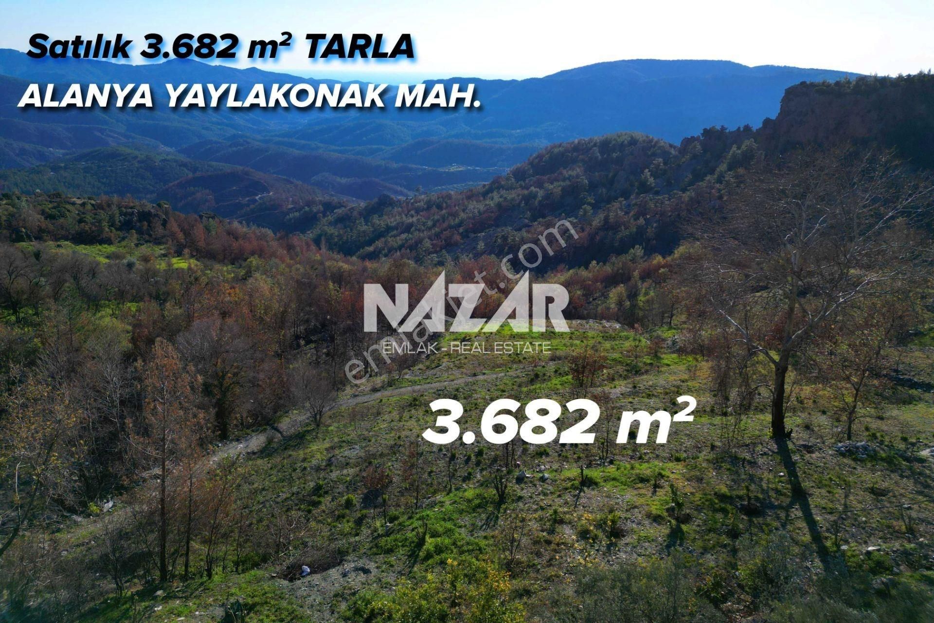 Alanya Yaylakonak’ta 3.682 M² Satılık Tarla - Görsel 7